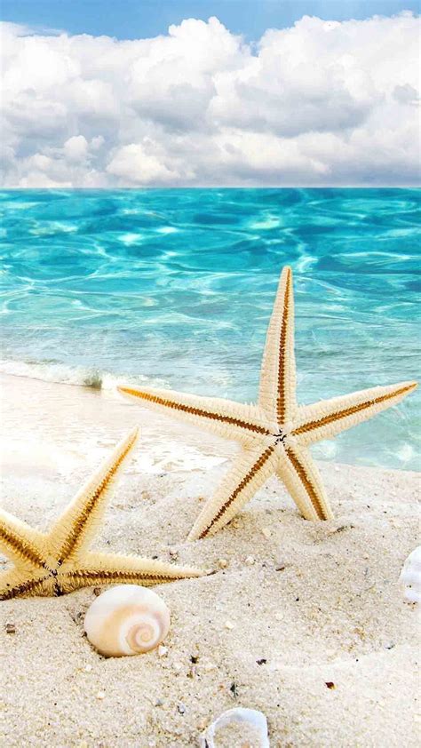 Starfish And Seashells On The Beach Beach Scenes Sea Shells Iphone