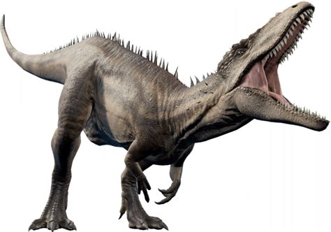 Rwbyjp Dinosaur Profile Carcharodontosaurus By Sideswipe217 On Deviantart