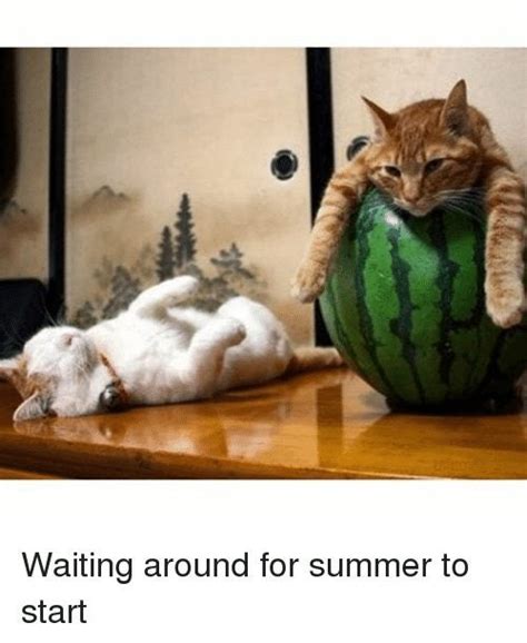 10 Funny First Day Of Summer 2018 Memes Youll Relate To If Youre