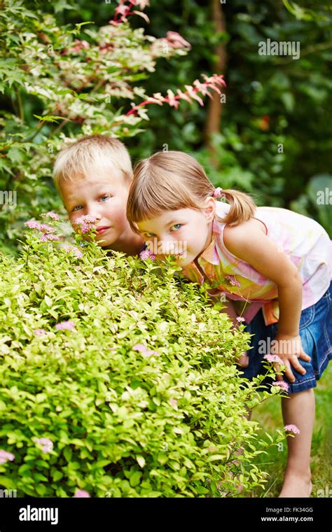 Two Children Playing Hide And Seek In Garden And Hiding Behind A Bush