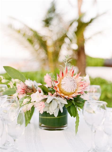 Protea Wedding Table Flowers Tropical Wedding Theme Tropical Wedding Ideas Tropical Wedding