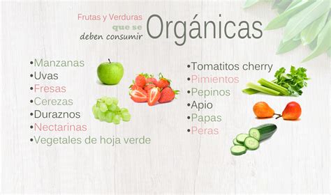 Alimentos Con Silicio Organico Qustlicious