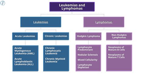 Clinical Medicine Leukemia And Lymphoma Draw It To Know It