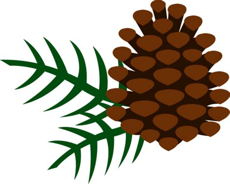 Free download 40 best quality pine tree clipart at getdrawings. Pine Cone and Pine Needles - Free Clip Art