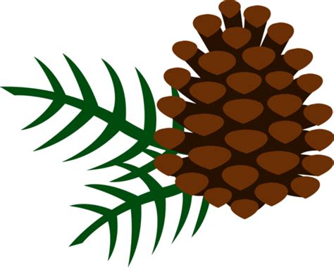 Free download 40 best quality pine tree clipart at getdrawings. Pine Cone and Pine Needles - Free Clip Art