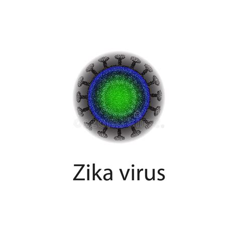 Zika Virus Structure Zika Virus Infection Sexually Transmitted Diseases Infographics Vector