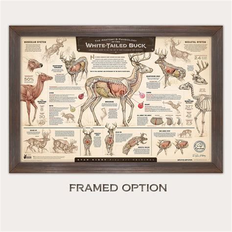 Classic Wildlife Art And Hunting Camp Utility Come Together In Anatomy