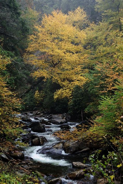 Fall In The Great Smoky Mountain National Park Tennessee