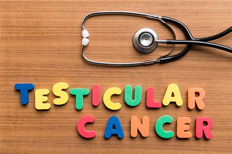 In some cases, surgical removal of a testicular cyst is warranted. Testicular Cancer Stock Photos, Pictures & Royalty-Free ...