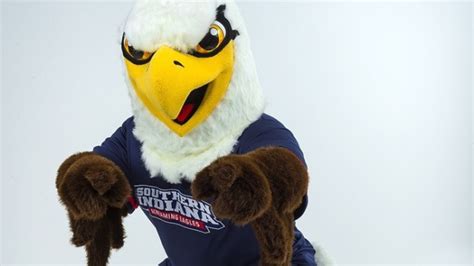 Usi Mascot Archibald T Eagle Gets A Major Face Lift