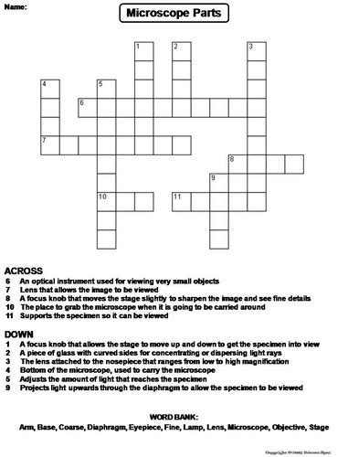 Parts Of A Microscope Crossword Puzzle Teaching Resources
