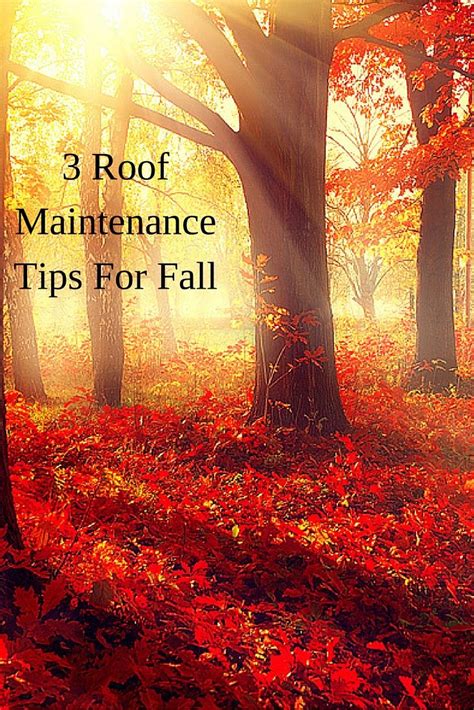 3 Roof Maintenance Tips For Fall Roof Maintenance Roof Maintenance