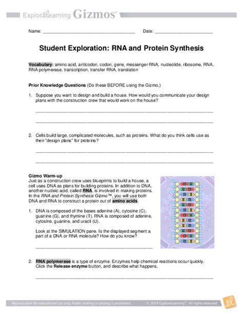 Rna and protein synthesis answer key gizmopdf free pdf download lesson info. Explore Learning Rna And Protein Synthesis Answer Key ...