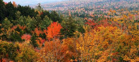 Top Ten Places To See Fall Colors In Vermont And New Hampshire