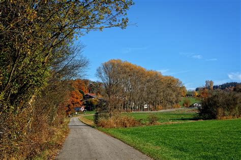 1920x1200 Wallpaper Road Away Trees Autumn Sky Tree The Way