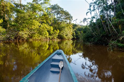10 Datos Que Demuestran La Riqueza Natural Que Tiene La Amazonía