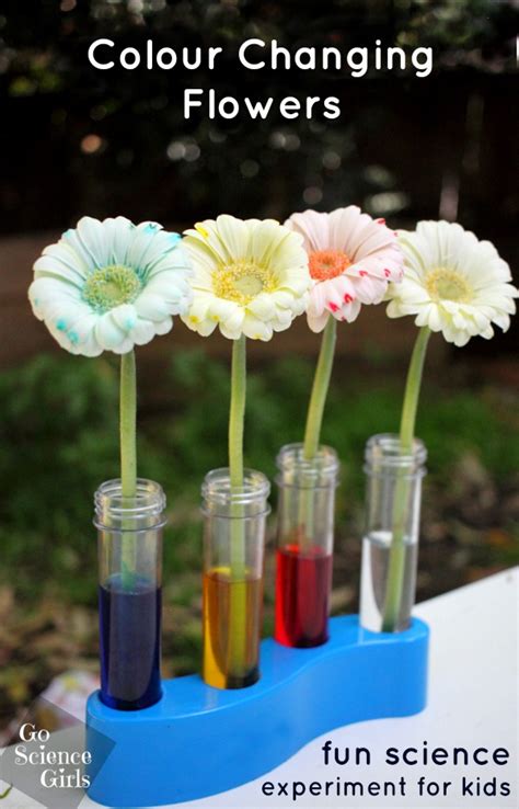 Check spelling or type a new query. Colour Changing Flowers Experiment - Go Science Girls