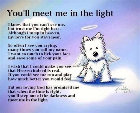 Prayer For Pets Catholic Sickness Healing And Catholic Prayers For