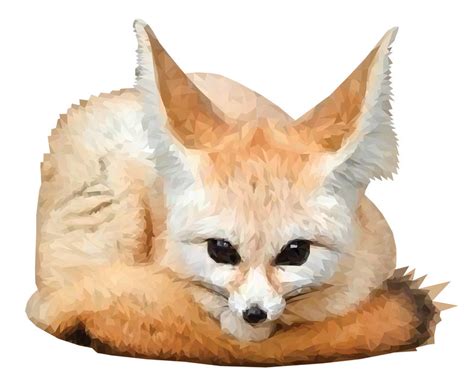 Fennec Fox By Savefascination On Deviantart