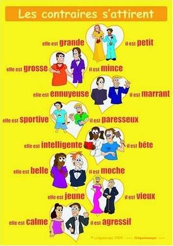 Pin by Elena Buric on le vocabulaire | French classroom, Teaching ...
