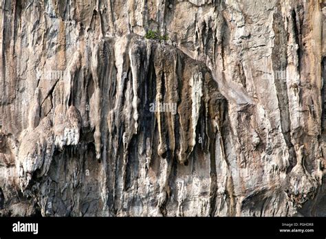 Vertical Cliff Wall Stock Photo Alamy