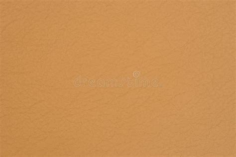 Light Brown Leather Texture Surface Stock Image Image Of Close