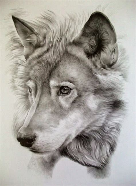 Awesome Pencil Drawing Photos. - Fashion and Travel Blogger