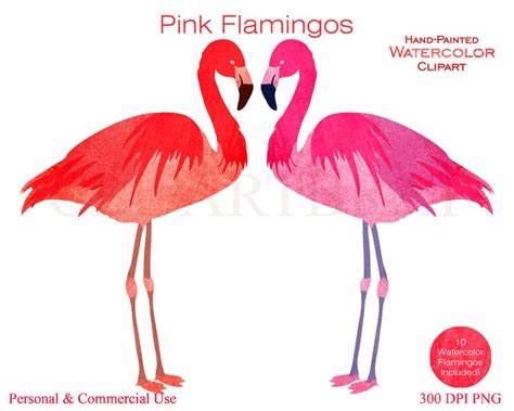 Watercolor Flamingos Clipart Commercial Use Clip Art Pink Etsy Hong Kong