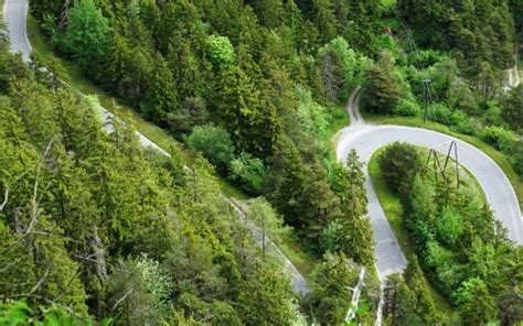 Aerial View Of Road Bends Between Green Trees Forest 4k Hd Nature