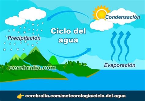 El Ciclo Del Agua 】 ️ Evaporación Condensación Precipitación