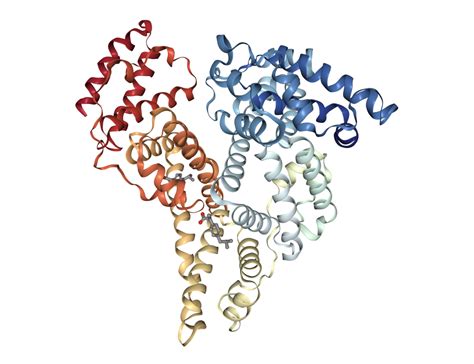 Serum albumin is the most abundant protein in the plasma. PharmaWiki - Albumin
