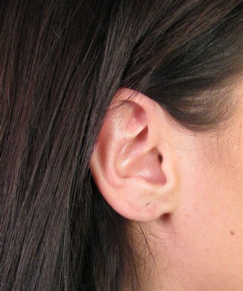 Cosmetic Ear Surgery Gauge Earlobe Repair In San Diego Ca By Dr John