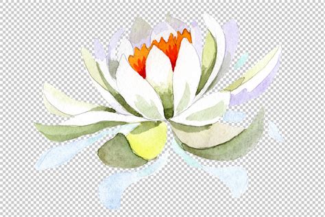 Download the white lotus png on freepngimg for free. White lotus flower watercolor png By MyStocks ...