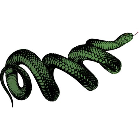 Coiled Green Snake Free Svg