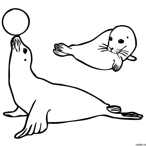 Cartoon Seal Drawing Step 2 Reference The Base Sketch To Create And