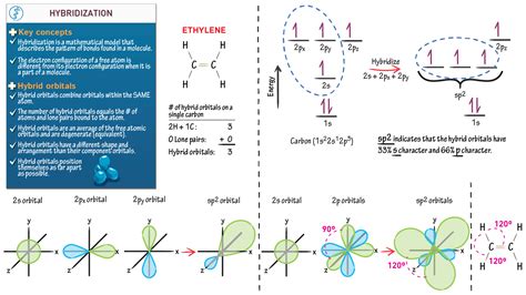 Organic Chemistry Drills Hybridization Draw It To Know It