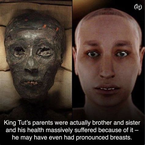 21 Weird Facts About King Tut In 2020 King Tut King Tut Facts Weird