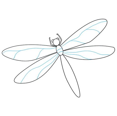 How To Draw A Dragonfly Really Easy Drawing Tutorial In 2022