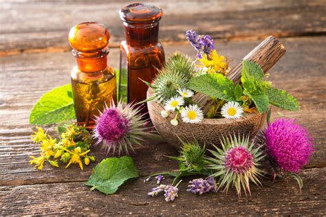 11 Flowers For Healing Types And Uses Bouqs Blog