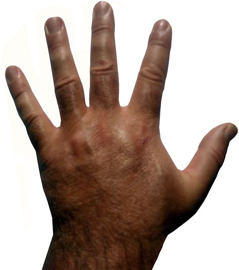 Hand Free Stock Photo - Public Domain Pictures