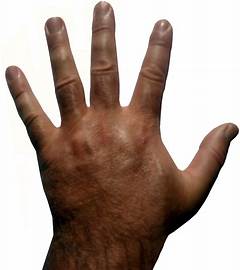 Hand Gang Signsstatistics