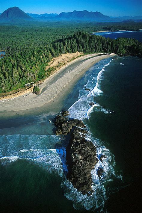 Pacific Rim National Park Reserve Vancouver Island News Events
