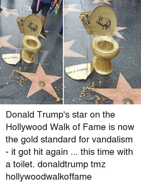 Mckayla maroney (of vault and meme fame) is stepping away from competitive gymnastics: KE a TRAM Donald Trump's Star on the Hollywood Walk of ...