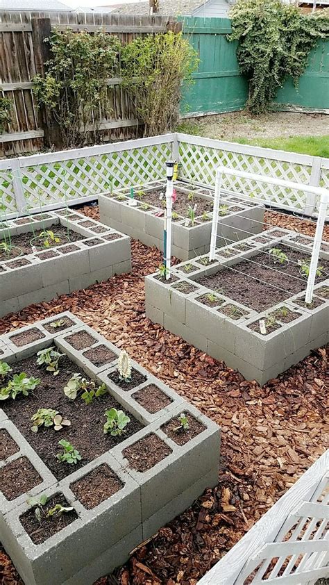 Pin By Glen Sapach On My Cinder Block Garden Vegetable Garden