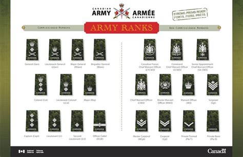 Canadian Army Rank Insignia Armyca Wiki