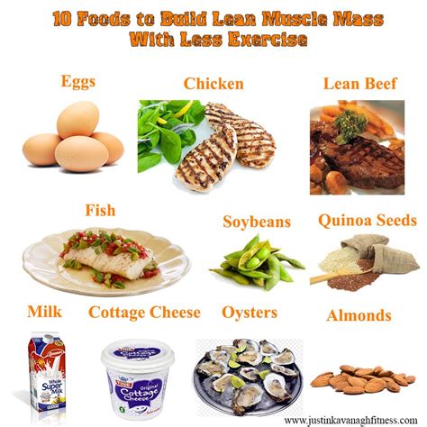 High Protein Foods For Lean Muscle