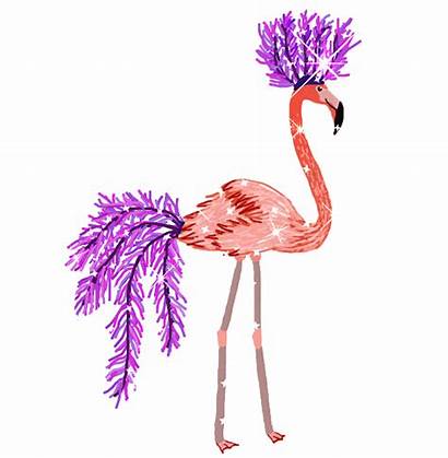 Flamingo Dance Gifs Bird Sparkle Animated Pretty