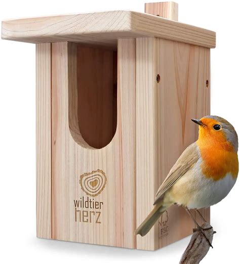 Best Nesting Box For Robins Garden Bird Feeder