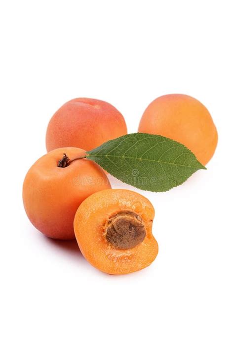 Fresh Apricot With A Leaf Stock Photo Image Of Healthy 41805952