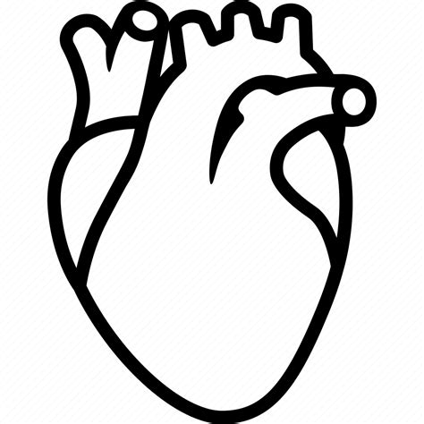 Cardiology Cardiovascular Circulatory Heart Human Organ System